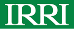 IRRI